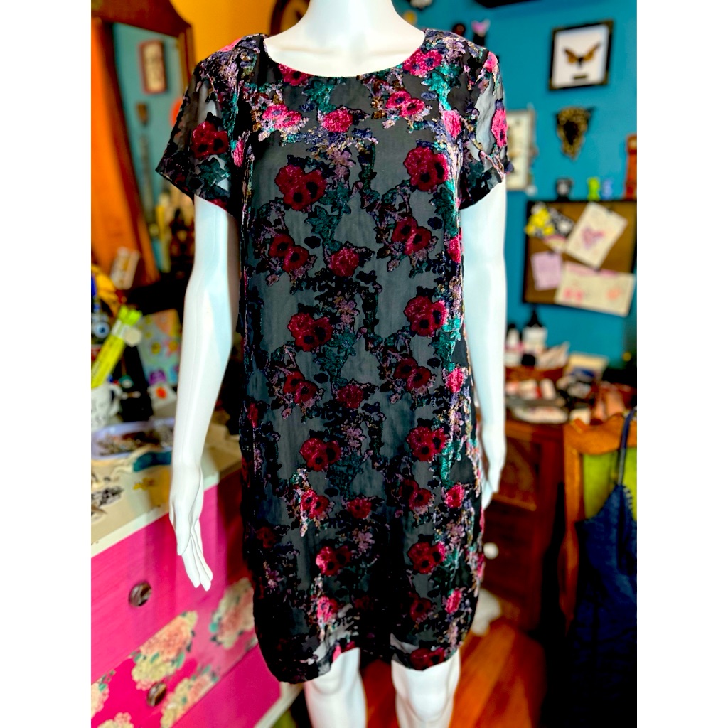 Gorgeous Carolina Belle Whimsigoth Velvet Burnout Dress